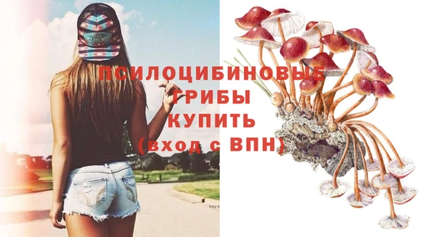 прущий лед Аркадак