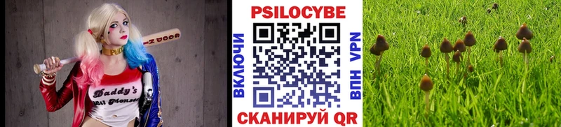 закладка  Омск  Галлюциногенные грибы GOLDEN TEACHER 