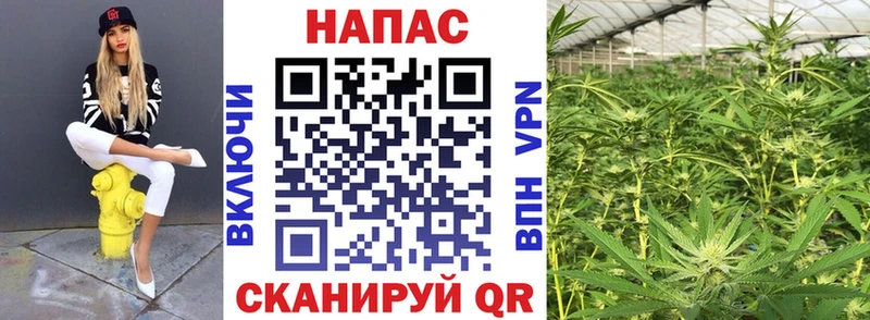 дарнет шоп  Омск  Конопля ГИДРОПОН 